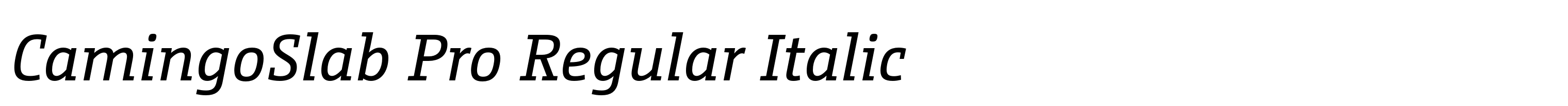 CamingoSlab Pro Regular Italic